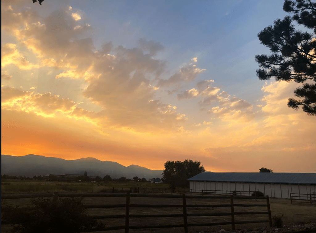 Hello! I’m Still&nbsp;Alive!