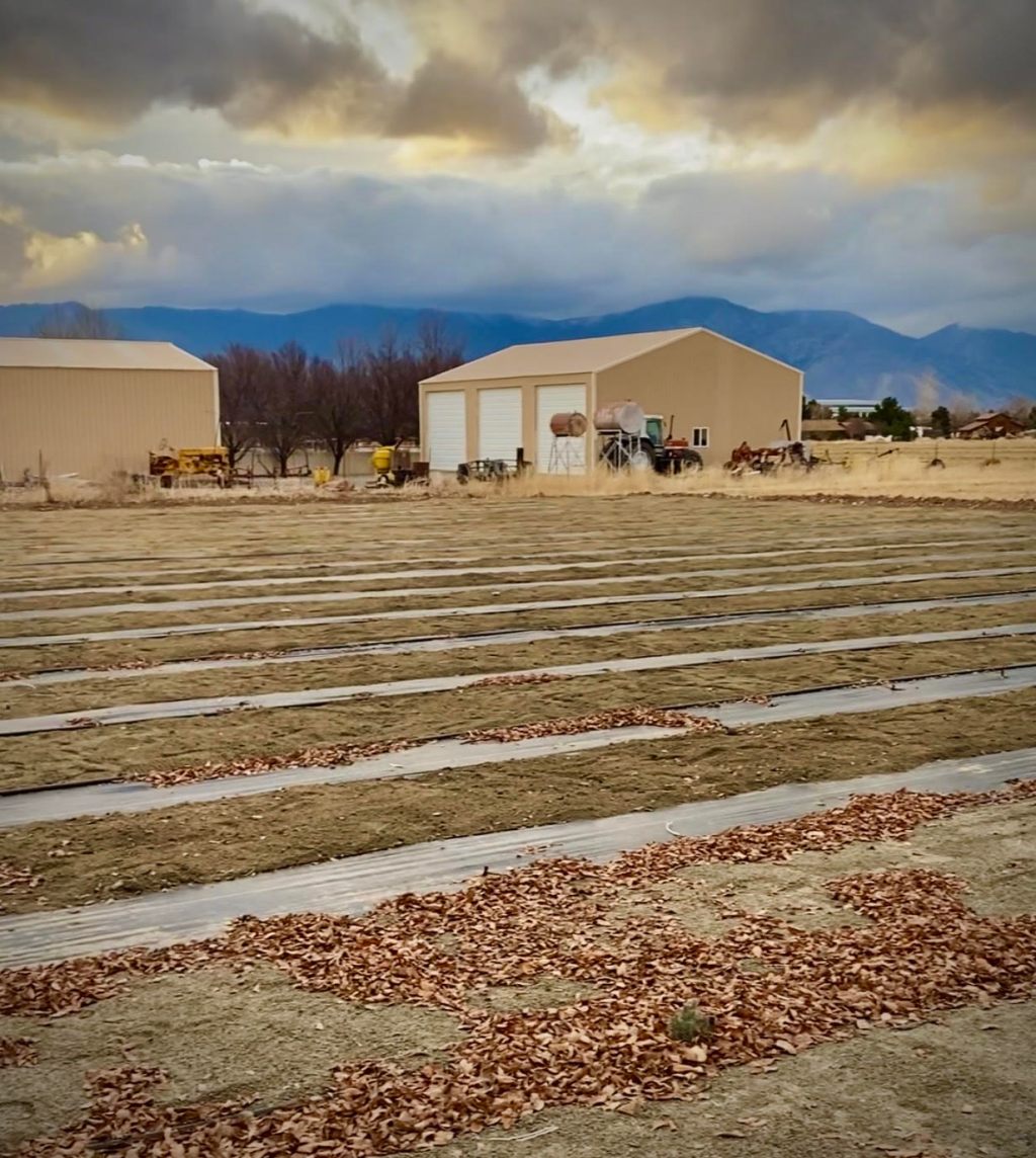 New Year, New&nbsp;Goals